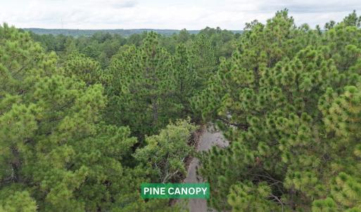 Photo #10 of 599 McDuffie Rd., Cameron, NC 1.5 acres