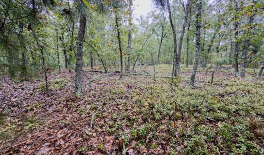 Photo #17 of 599 McDuffie Rd., Cameron, NC 1.5 acres