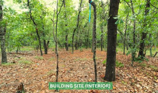 Photo #19 of 599 McDuffie Rd., Cameron, NC 1.5 acres