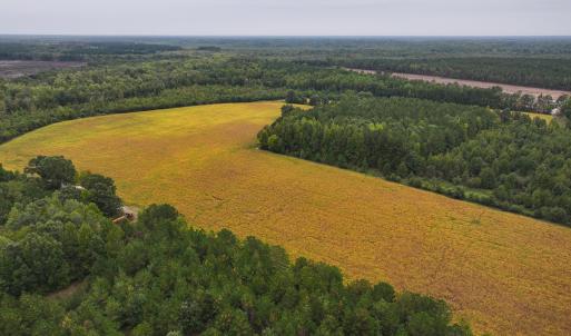 Photo #10 of Off of Blank Lane, Emporia, VA 107.0 acres