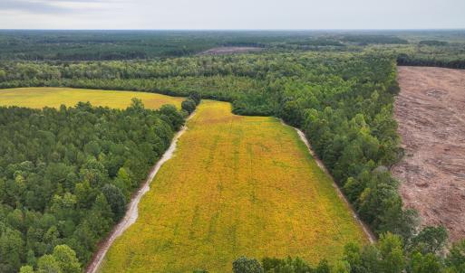 Photo #11 of Off of Blank Lane, Emporia, VA 107.0 acres