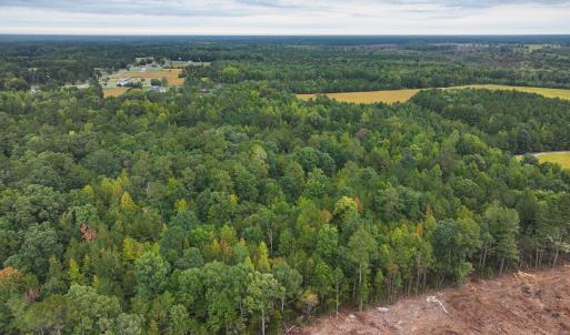 Photo #14 of Off of Blank Lane, Emporia, VA 107.0 acres