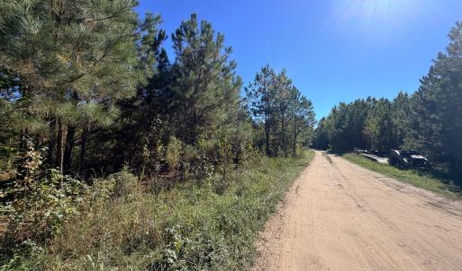 Photo #15 of Off of Blank Lane, Emporia, VA 107.0 acres