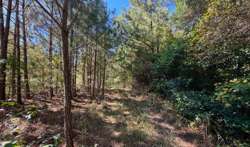 Photo #16 of Off of Blank Lane, Emporia, VA 107.0 acres