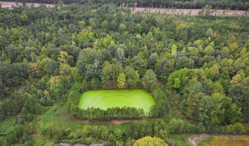Photo #20 of Off of Blank Lane, Emporia, VA 107.0 acres