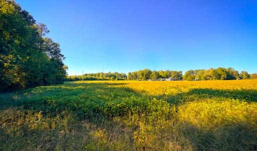 Photo #21 of Off of Blank Lane, Emporia, VA 107.0 acres