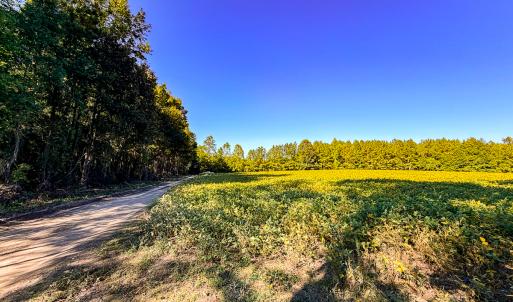 Photo #22 of Off of Blank Lane, Emporia, VA 107.0 acres