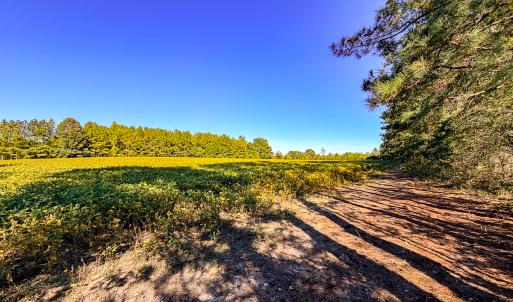 Photo #23 of Off of Blank Lane, Emporia, VA 107.0 acres
