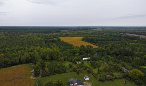 Photo #24 of Off of Blank Lane, Emporia, VA 107.0 acres