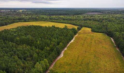 Photo #25 of Off of Blank Lane, Emporia, VA 107.0 acres