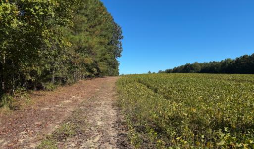 Photo #26 of Off of Blank Lane, Emporia, VA 107.0 acres