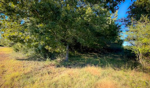 Photo #27 of Off of Blank Lane, Emporia, VA 107.0 acres
