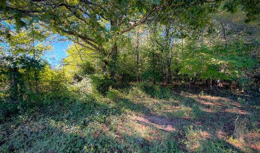 Photo #28 of Off of Blank Lane, Emporia, VA 107.0 acres