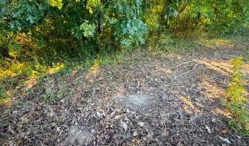 Photo #29 of Off of Blank Lane, Emporia, VA 107.0 acres
