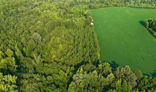 Photo #3 of Off of Blank Lane, Emporia, VA 107.0 acres