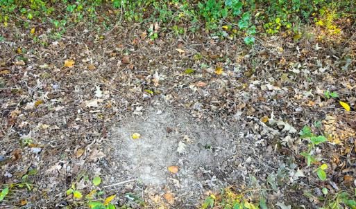 Photo #30 of Off of Blank Lane, Emporia, VA 107.0 acres