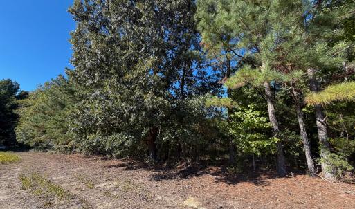 Photo #31 of Off of Blank Lane, Emporia, VA 107.0 acres