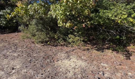 Photo #32 of Off of Blank Lane, Emporia, VA 107.0 acres