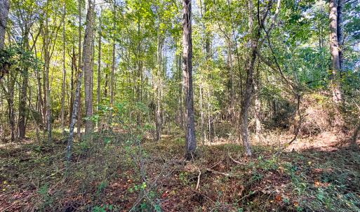 Photo #33 of Off of Blank Lane, Emporia, VA 107.0 acres
