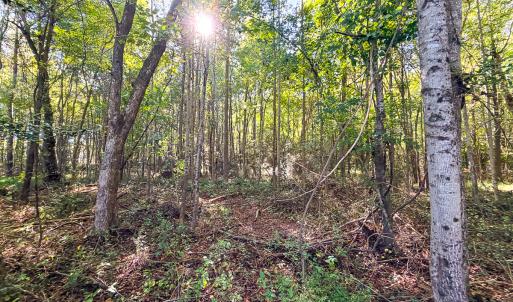 Photo #34 of Off of Blank Lane, Emporia, VA 107.0 acres