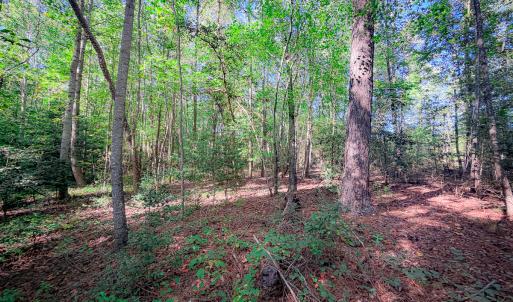 Photo #35 of Off of Blank Lane, Emporia, VA 107.0 acres