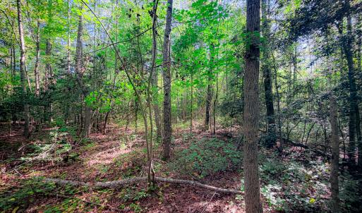 Photo #36 of Off of Blank Lane, Emporia, VA 107.0 acres