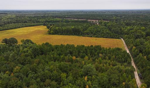 Photo #38 of Off of Blank Lane, Emporia, VA 107.0 acres