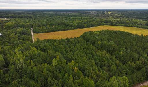 Photo #39 of Off of Blank Lane, Emporia, VA 107.0 acres