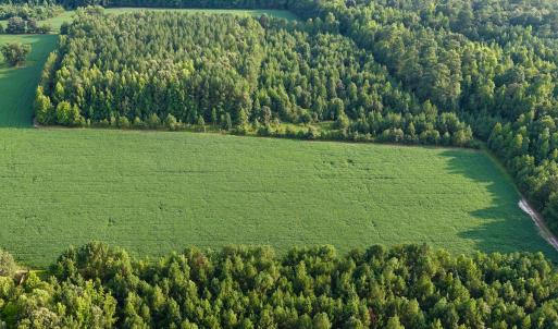 Photo #4 of Off of Blank Lane, Emporia, VA 107.0 acres