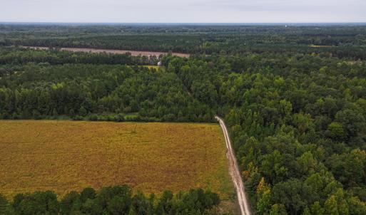Photo #9 of Off of Blank Lane, Emporia, VA 107.0 acres