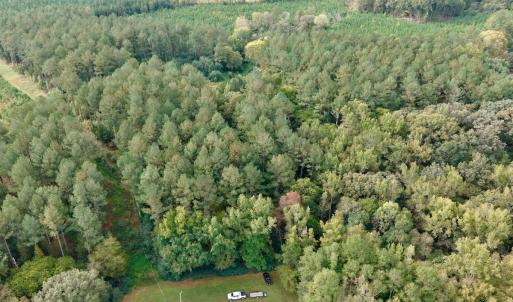 Photo #1 of Off of St. Martin Road, Oakboro, NC 82.0 acres