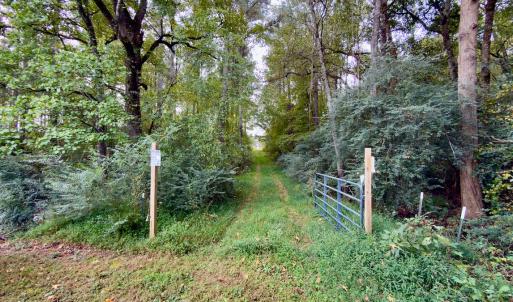 Photo #2 of Off of St. Martin Road, Oakboro, NC 82.0 acres