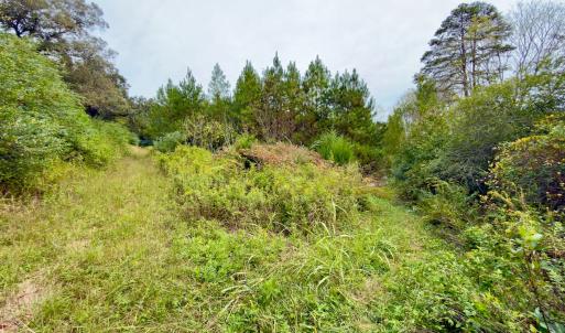 Photo #12 of Off of St. Martin Road, Oakboro, NC 82.0 acres