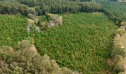 Photo #13 of Off of St. Martin Road, Oakboro, NC 82.0 acres