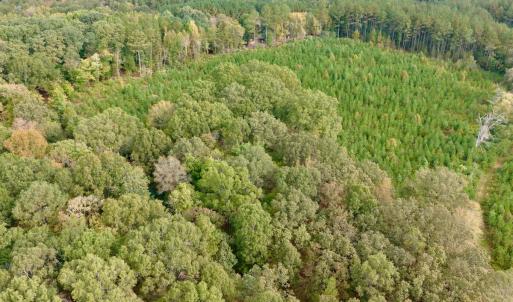 Photo #14 of Off of St. Martin Road, Oakboro, NC 82.0 acres