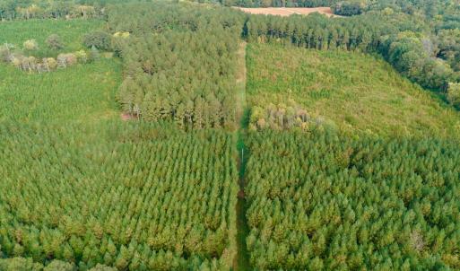 Photo #15 of Off of St. Martin Road, Oakboro, NC 82.0 acres