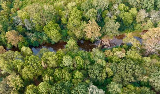 Photo #16 of Off of St. Martin Road, Oakboro, NC 82.0 acres