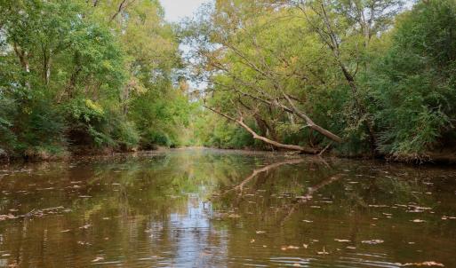 Photo #17 of Off of St. Martin Road, Oakboro, NC 82.0 acres
