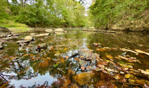 Photo #18 of Off of St. Martin Road, Oakboro, NC 82.0 acres