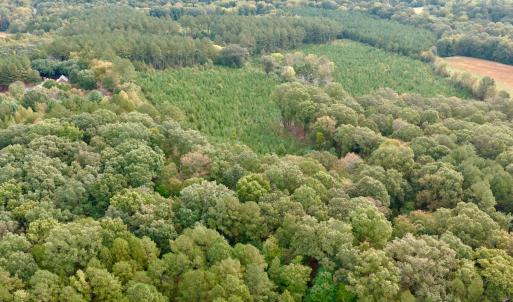 Photo #19 of Off of St. Martin Road, Oakboro, NC 82.0 acres