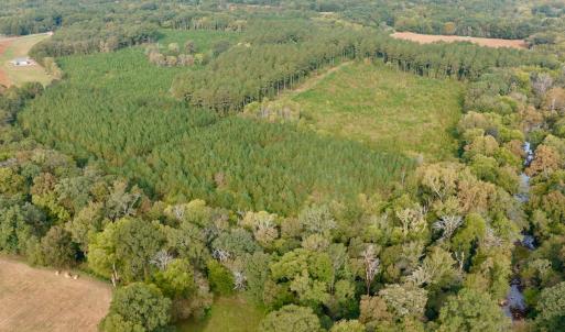Photo #20 of Off of St. Martin Road, Oakboro, NC 82.0 acres