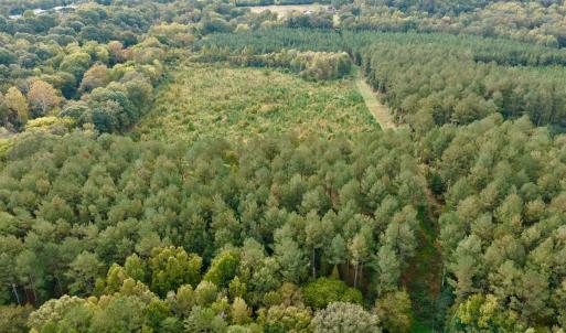 Photo #3 of Off of St. Martin Road, Oakboro, NC 82.0 acres