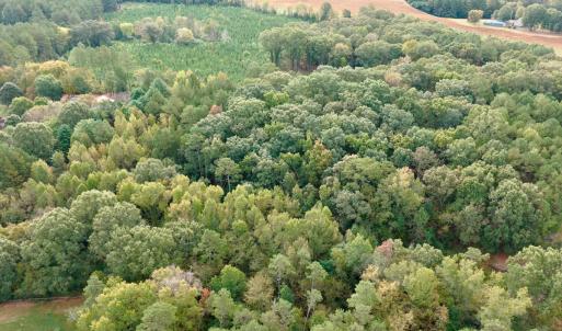 Photo #4 of Off of St. Martin Road, Oakboro, NC 82.0 acres