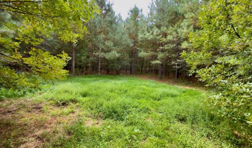 Photo #5 of Off of St. Martin Road, Oakboro, NC 82.0 acres