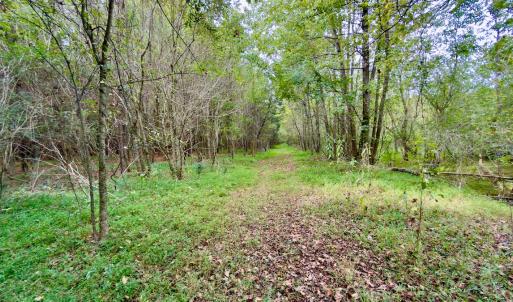 Photo #6 of Off of St. Martin Road, Oakboro, NC 82.0 acres