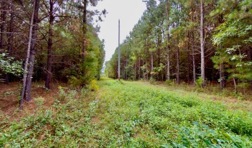 Photo #7 of Off of St. Martin Road, Oakboro, NC 82.0 acres