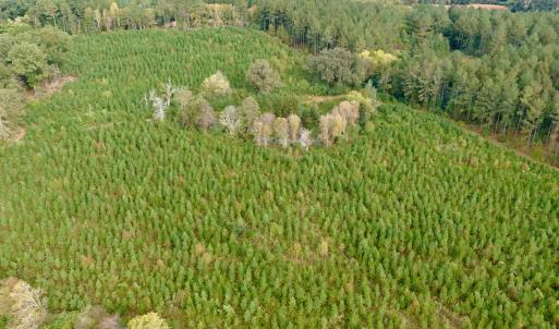 Photo #8 of Off of St. Martin Road, Oakboro, NC 82.0 acres