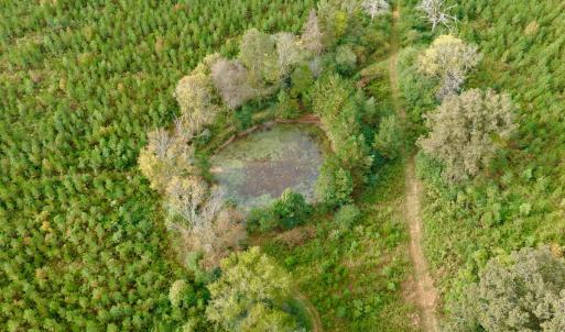 Photo #9 of Off of St. Martin Road, Oakboro, NC 82.0 acres
