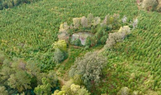 Photo #10 of Off of St. Martin Road, Oakboro, NC 82.0 acres