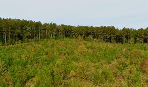 Photo #21 of Off of St. Martin Road, Oakboro, NC 82.0 acres